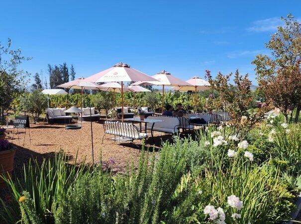 Botanico Restaurant Umbrella 2