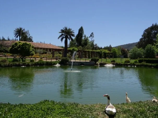 Equilibrio Restaurant Pond